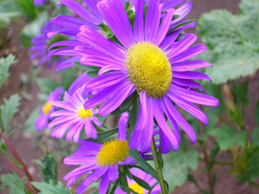 429822 (a): :1600x1200